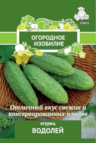 Огурец "Водолей" ранний, пчелоопыляемый, высокоурожайный, цена за 2 штуки