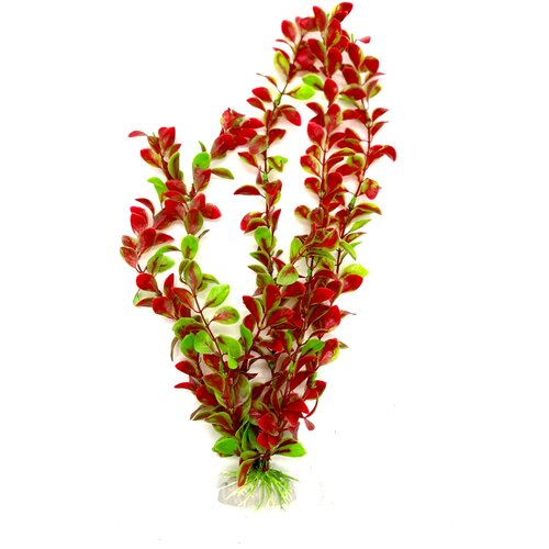 Растения для Аквариумов И Террариумов 40 см растения для аквариумов и террариумов 30 см
