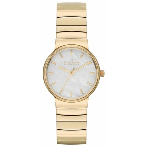 фото Наручные часы skagen skw2199