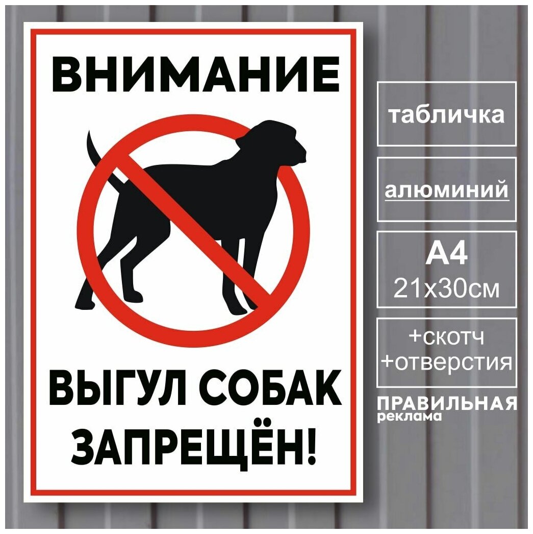 Табличка металлическая "Выгул собак запрещен" А4 (21х30) / Алюминий (+Отверстия под саморезы и Скотч)
