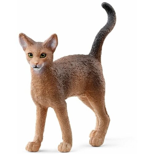 Животное абиссинская кошка