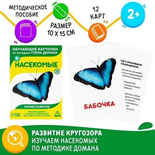 Обучающие карточки по методике Г. Домана «Насекомые», 12 карт, А6, 4 штуки