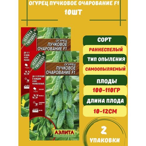 семена огурец пучковое очарование 10 шт 3 упаковки Огурец Пучковое Очарование F1, 10 семян 2 упаковки