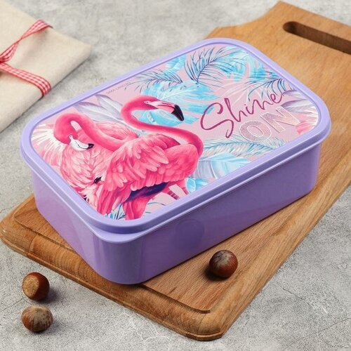 Ланч-бокс Shine on 12 л для дома 699₽