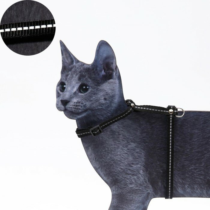 Шлейка для кошек, ширина 1 см, светоотражающий, ОШ 16,5-27 см, ОГ 21-35 см, чёрный 9228255