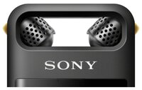 Диктофон Sony PCM-A10 черный