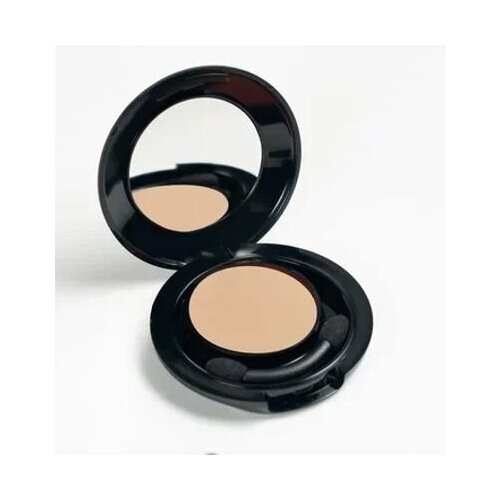 Пудра скульптурирующая для лица FACE nicobaggio professional make-up COMPACT SHADOW тени Тон 14