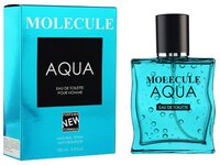 Туалетная вода Парфюмерия XXI века Molecule Aqua pour homme 100 мл