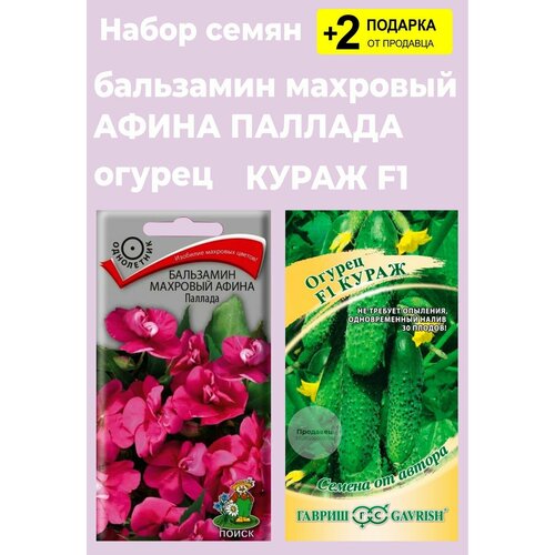 Семена цветов Бальзамин Паллада, 5 сем. + Семена Огурец 