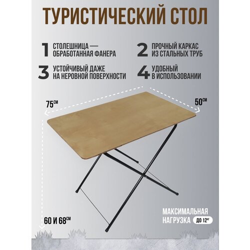 Набор туристической мебели: стол складной и 2 складных стула со спинкой