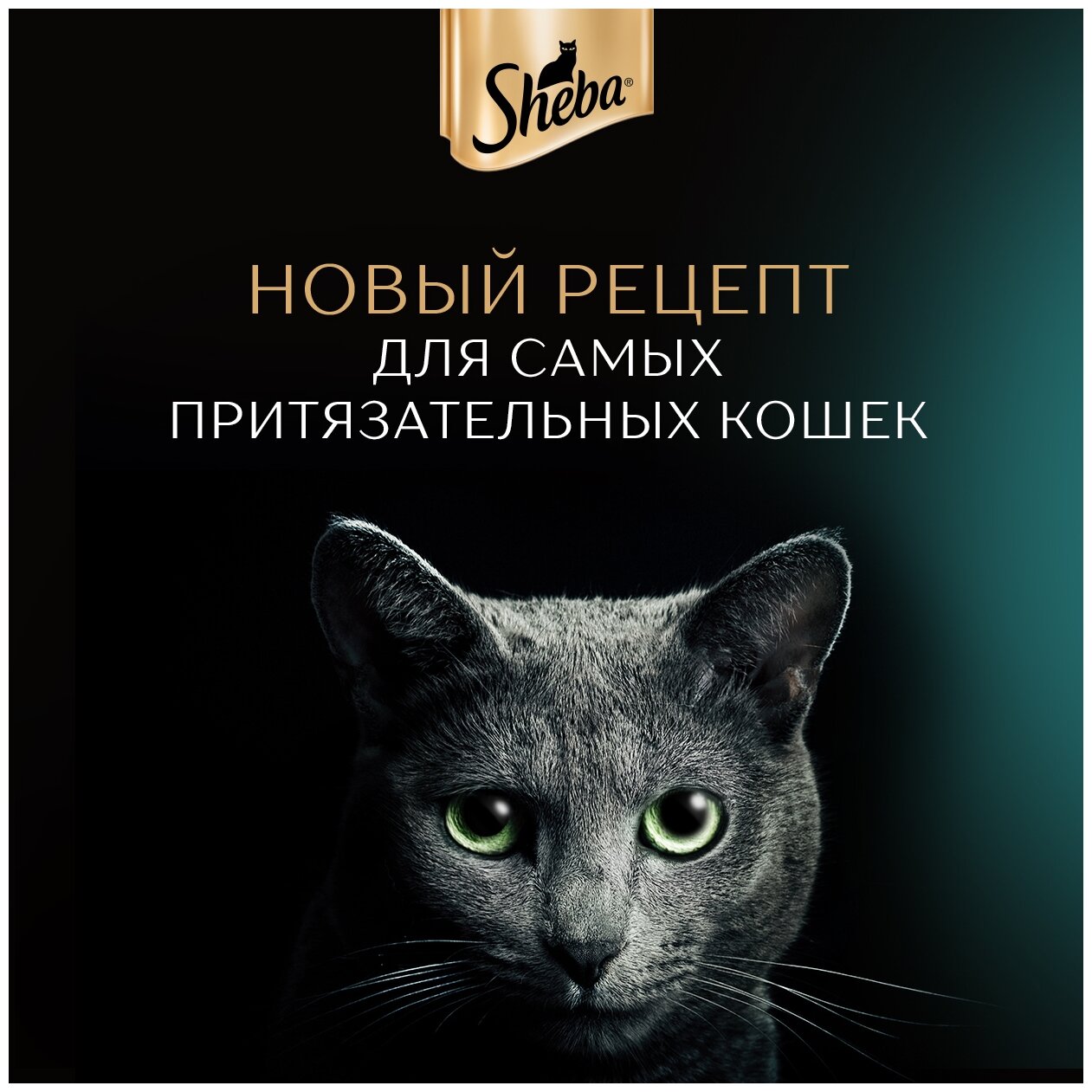 Влажный корм для кошек SHEBA® Нежный паштет в желе, с индейкой, 28 шт по 75г - фотография № 10
