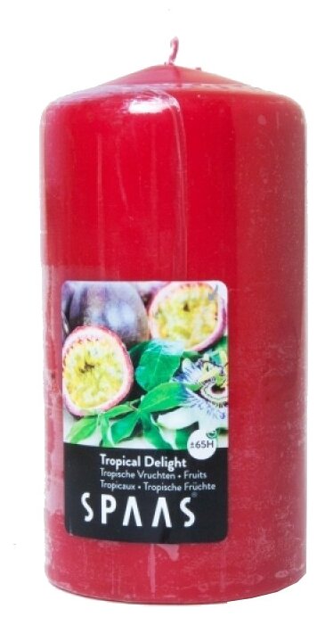 Свеча Spaas Tropical Delight арома столбик — купить по выгодной цене на Яндекс.Маркете