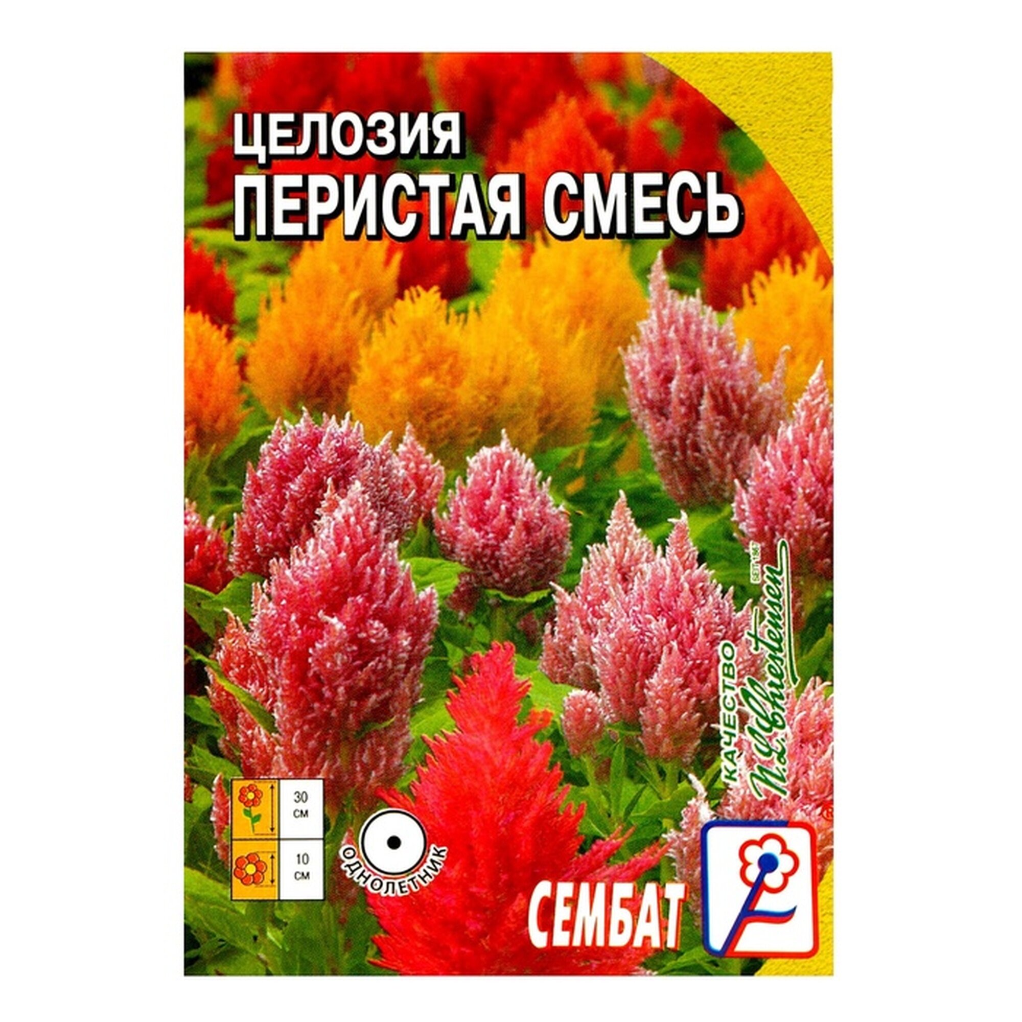Семена цветов Целозия Перистая смесь 01 г