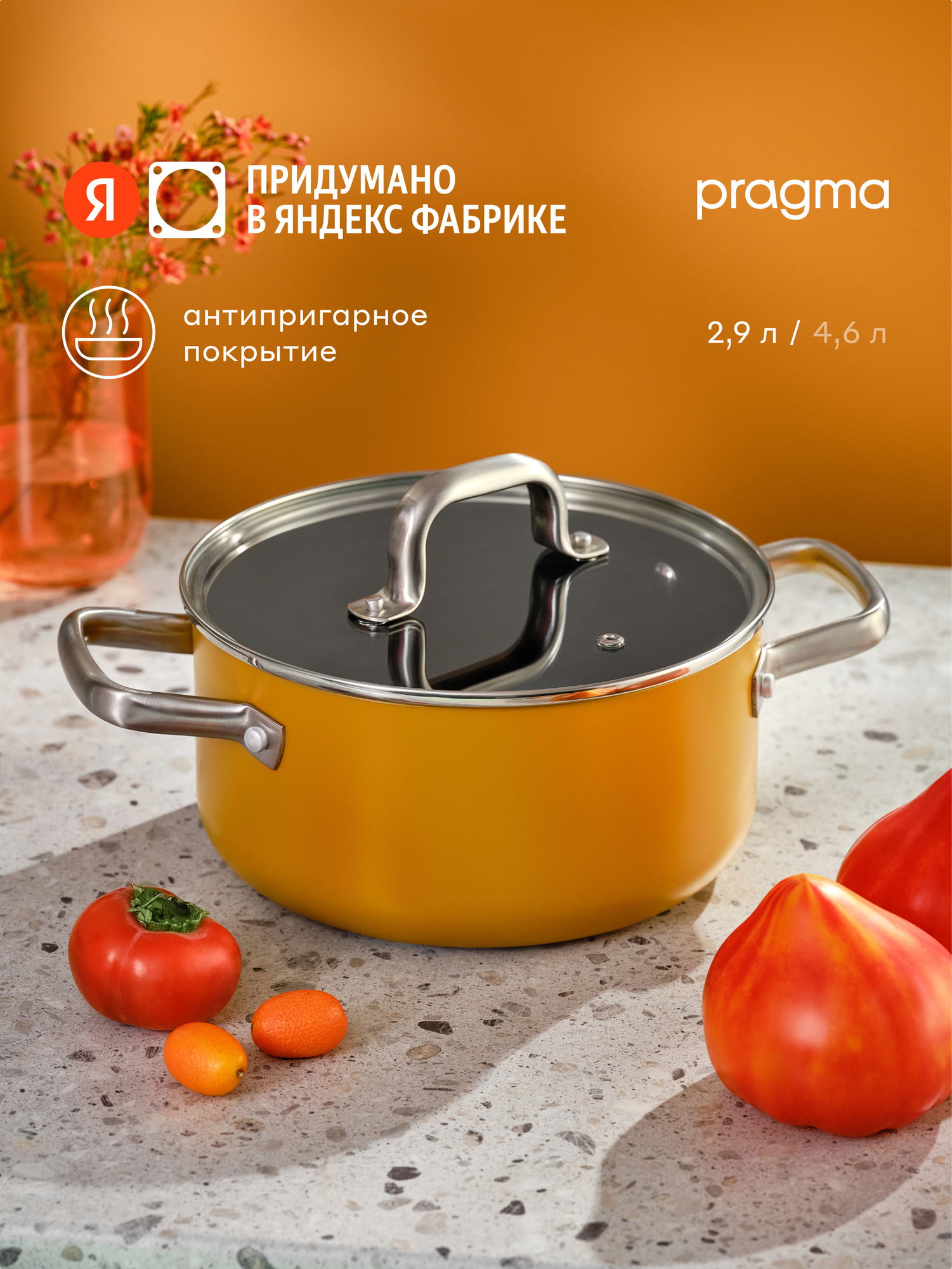Кастрюля из алюминия Pragma Robuk 29 л с антипригарным покрытием крышка в комплекте индукция
