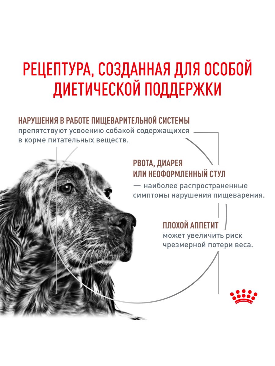 Сухой корм Royal Canin Gastrointestinal для собак при нарушениях пищеварения Диетический, 2 кг. — фото 1