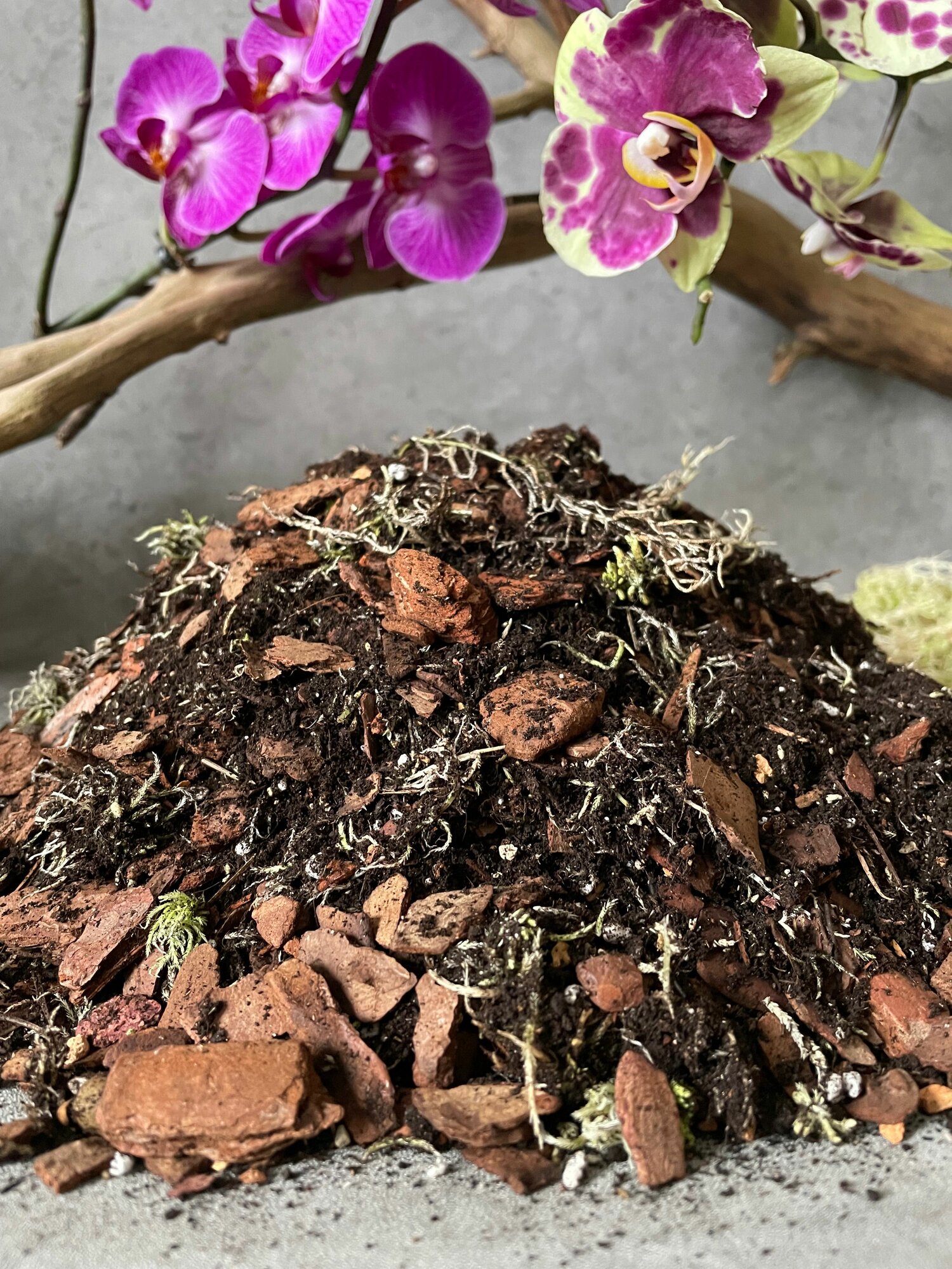Готовый грунт для Орхидей Terracotta Plants с Биогумус 4 литра — фото 1