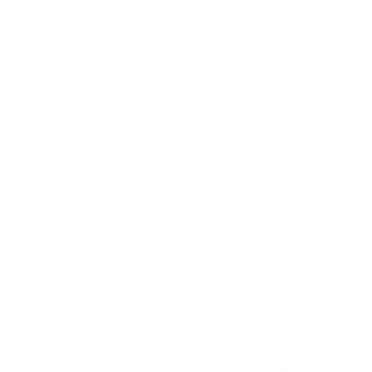 Жиросжигатель   BioTechUSA Thermo Drine Liquid   500 мл    грейпфрут