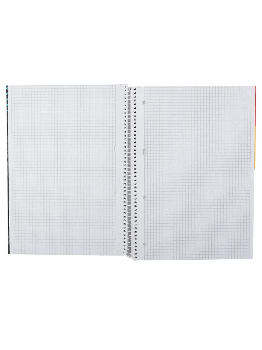 Тетрадь в клетку А4 160 л — фото 1