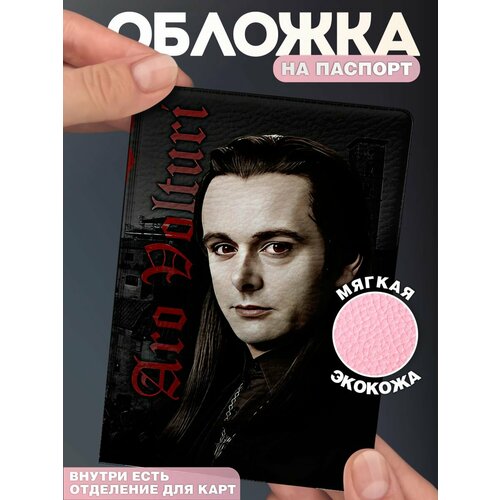 Обложка для паспорта КРАСНИКОВА, красный/серый