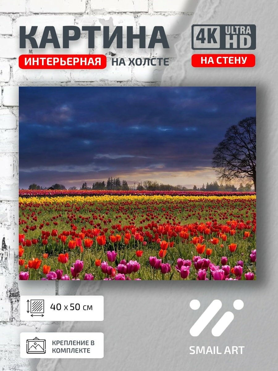 Картина на холсте интерьерная 40 на 50 на стену Пейзаж тюльпаны для гостиной атмосфера