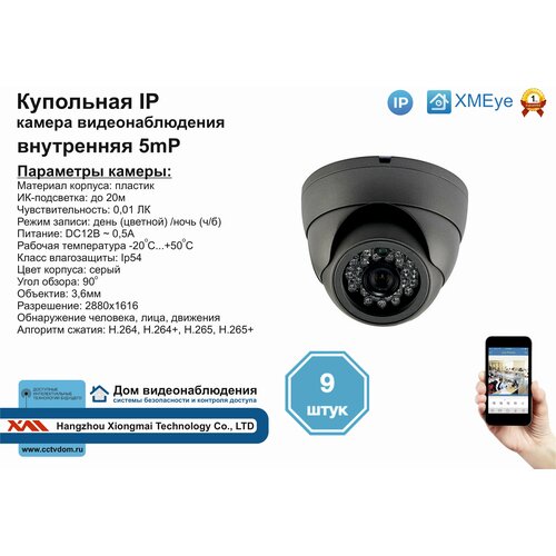 9шт DVS300IP5MP Внутренняя IP камера 5мП с ИК до 20м 2805000₽
