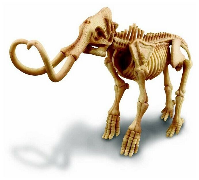Игровой набор 4M Скелет мамонта (00-03236) - фото №3