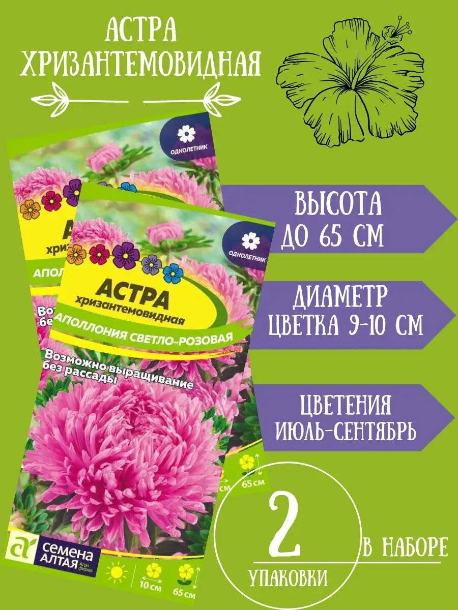 Астра Хризантемовидная Аполлония Розовая, 0,2гр 2 упаковки