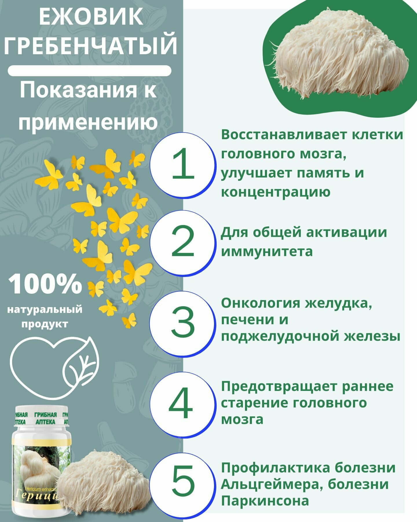 Изображение БАД Ежовик Гребенчатый (Гериций), для памяти, внимания, мозговой активности, Фунго-Ши, ноотроп, 60 капсул