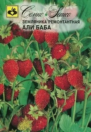 Семена Земляника ремонтантная Али Баба 01г 1 пакет