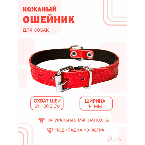 Кожаный нежный ошейник (обхват шеи 21-26,5 см.) на фетре для небольших щенков / красный