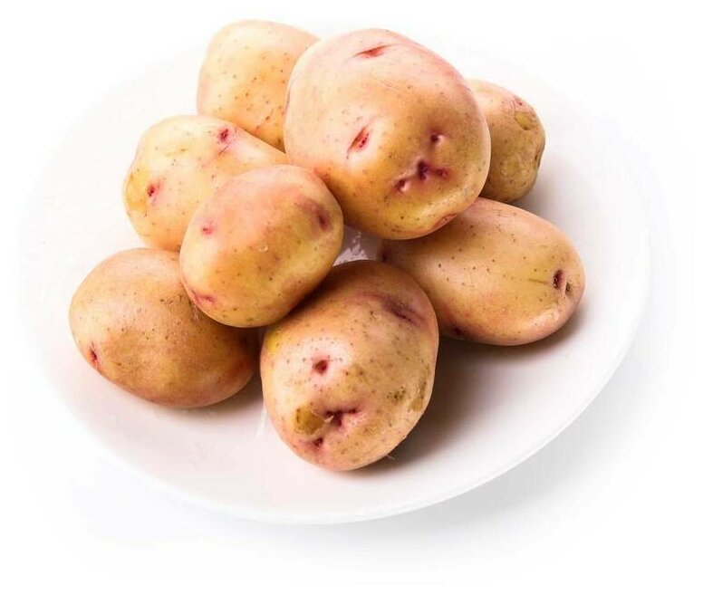 Картофель семенной селекционный сортовой Синеглазка клубни 5 кг - фотография № 1