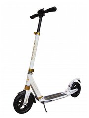 Городской самокат Sportsbaby City Scooter MS-116