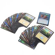 Magic The Gathering: Набор Отражения Литт-Яры (foil) и 40 базовых земель (20 foil) (на русском языке)