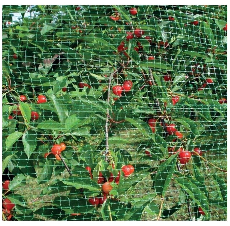 Сетка садовая 4 х 5 метров для защиты от птиц, для защиты урожая от птиц - фотография № 7