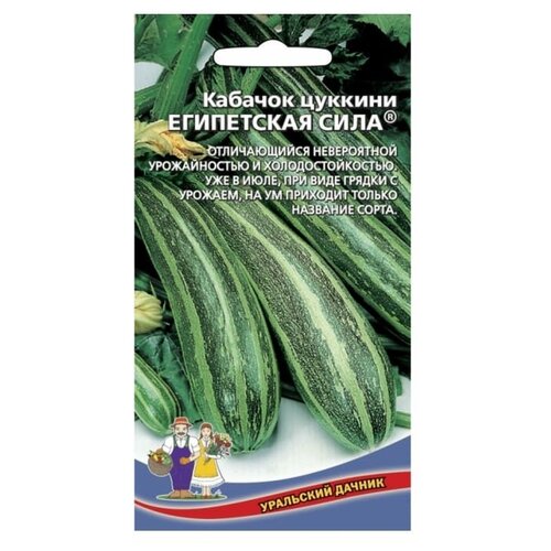 Кабачок Египетская Сила (цуккини) семена кабачок египетская сила цуккини 10 шт