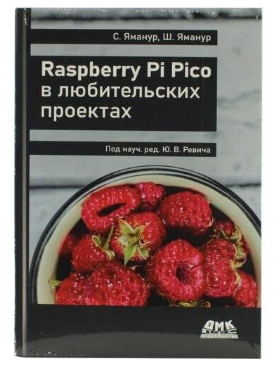 Raspberry Pi Pico в любительских проектах - фото №2
