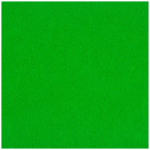 Фетр декоративный Blitz, 30x45x0,1 см, цвет: 044 зеленый, арт. FKH10-30/45