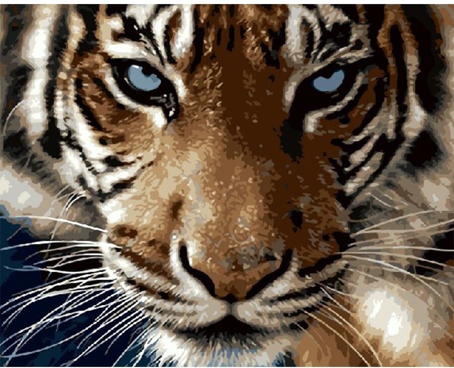 Картина по номерам Взгляд тигра 40х50 см Hobby Home