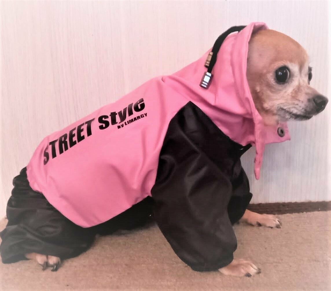 Дождевик для собак без подклада Lim Street Style розовый для девочки на грязную, мокрую, ветреную погоду - фотография № 2