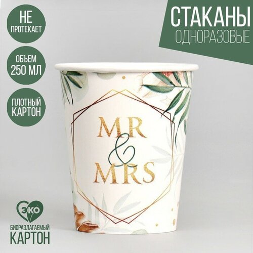 Стакан бумажный MR &MRS, набор 6 шт, 250 мл