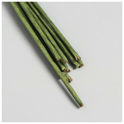 Набор проволоки для творчества d-2 мм 60 см 10 шт зелёный 534₽