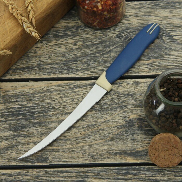 Доляна Нож кухонный для цитрусовых Доляна «Страйп», зубчатое лезвие 11,5 см, цвет синий
