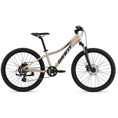 Подростковый велосипед GIANT XtC Jr Disc 24 Бежевый One Size