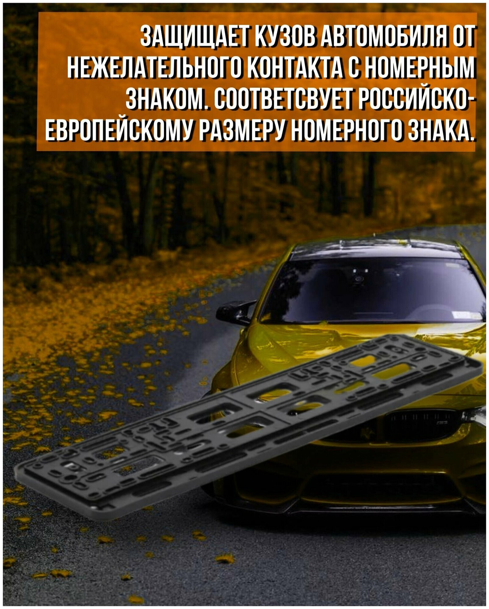 Рамка для номера автомобиля госномера универсальная с надписью "Порядка нет и не будет" 1 ука