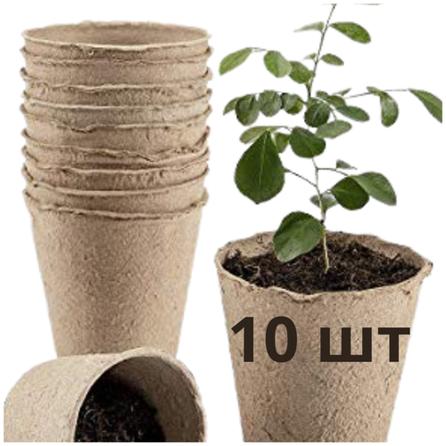 Торфяные горшочки для рассады, 80х80 мм / Горшочек торфяной, 10 шт