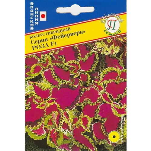 Колеус Фейерверк Роза F1. Семена. Карликовый гибрид высотой 15 см. с превосходным побегообразованием. Идеален для горшечной культуры роза фейерверк кустарниковая тантау
