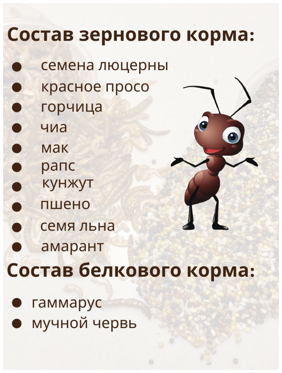 Корм для муравьев жнецов белковый и зерновой, лакомство для грызунов, хомяков и птиц