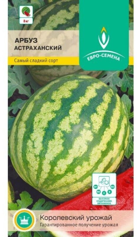 Арбуз астраханский. Семена. Самый известный в России сорт. Образует крупные, шаровидные плоды массой 6-10 кг.