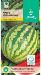 Арбуз астраханский. Семена. Самый известный в России сорт. Образует крупные, шаровидные плоды массой 6-10 кг.