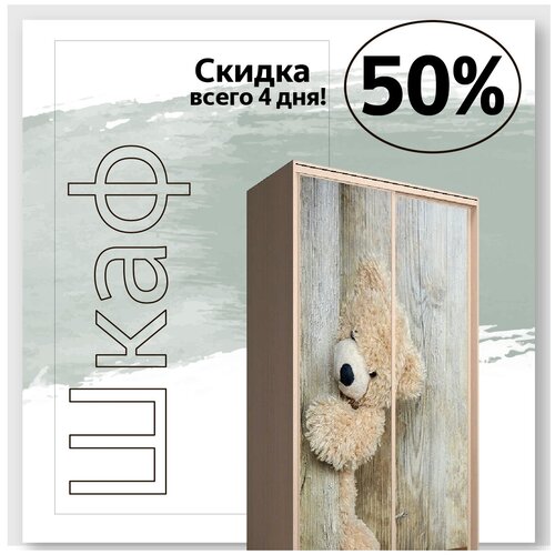 Шкаф купе двухстворчатый раздвижной Яркий Детский Венге светлый/фотопечать Тедди 1600х2300х600